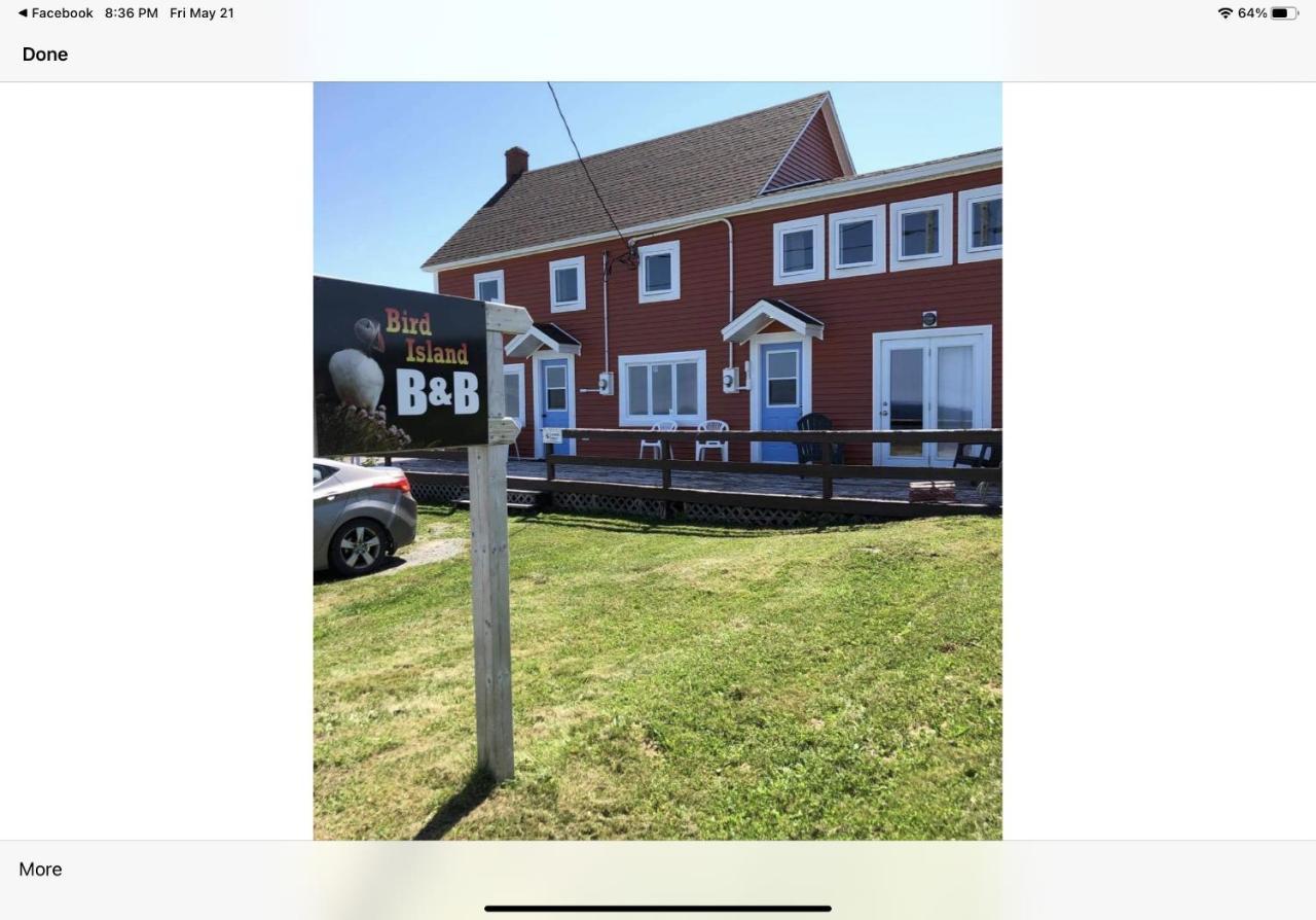 Bird Island B&B Elliston Exterior foto