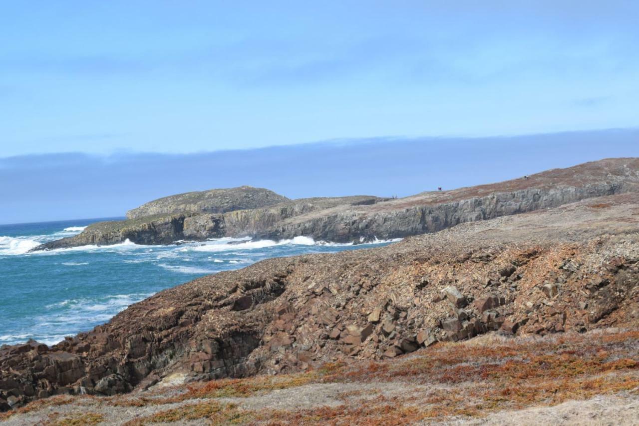 Bird Island B&B Elliston Exterior foto