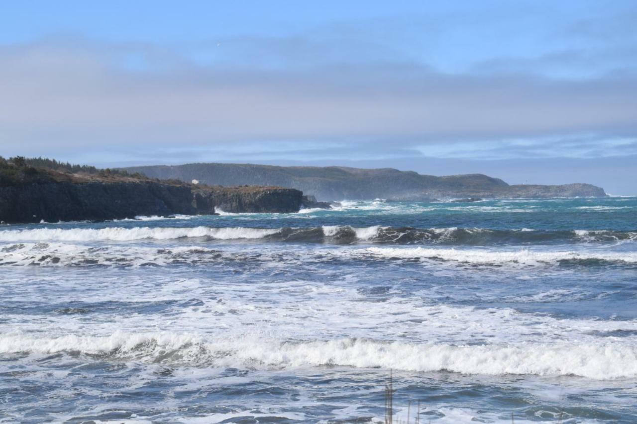 Bird Island B&B Elliston Exterior foto